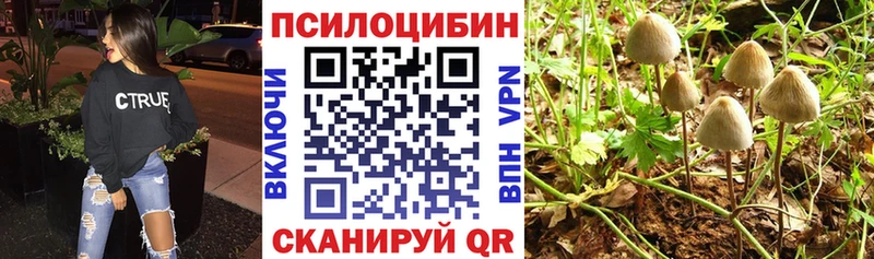 Псилоцибиновые грибы Cubensis  Ильский 
